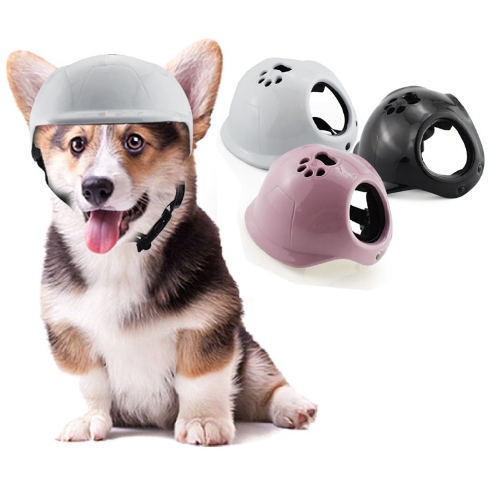 Plastic Pet Dog Helmets With E - Motorcycle Gear Dogs ulasan dan harga