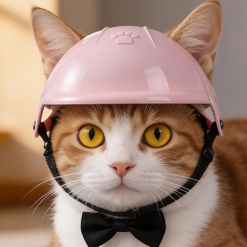 Cool Mini Motorcycle Helmet fo - Motorcycle Gear Dogs ulasan dan harga