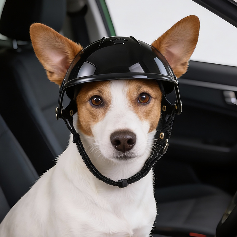 Pet Helmet for Dogs Cats Funny - Motorcycle Gear Dogs ulasan dan harga