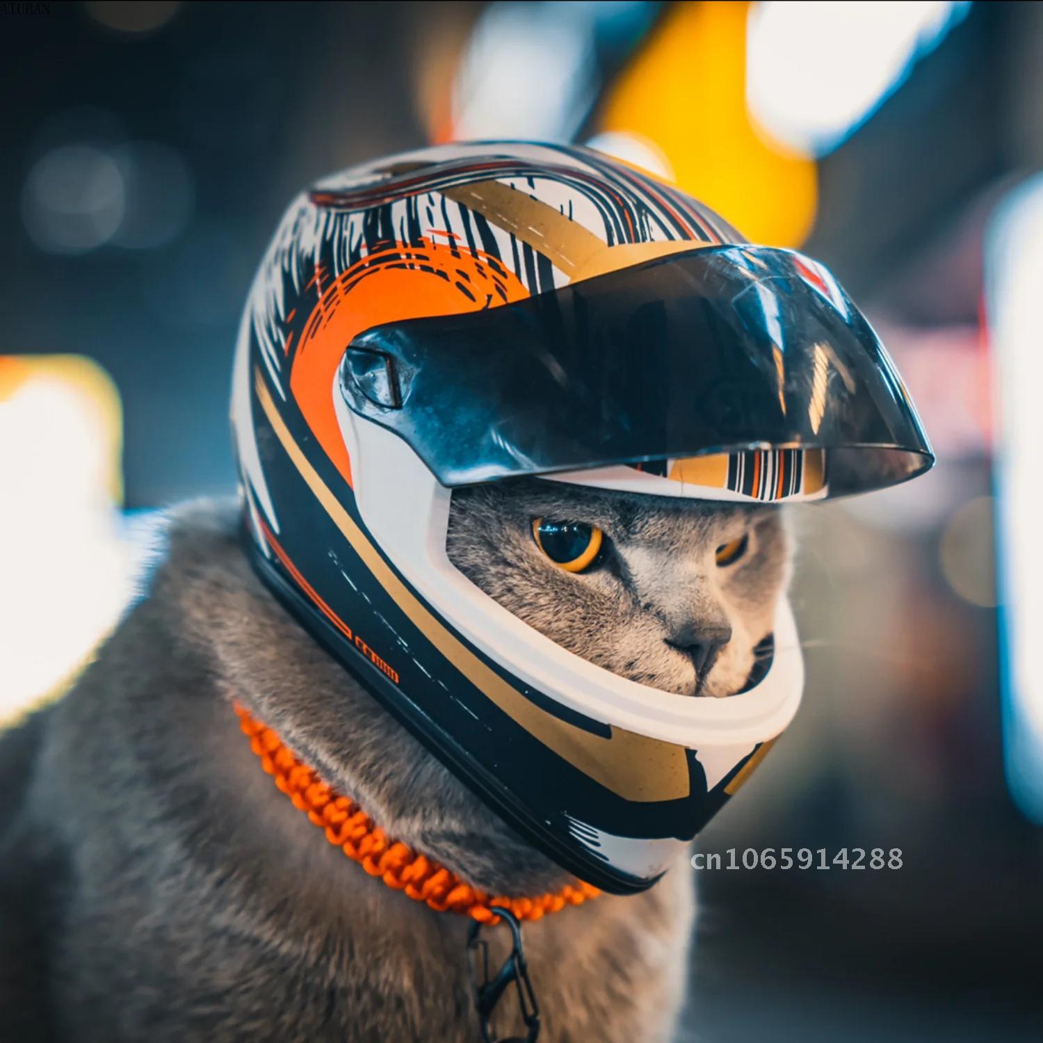 Photo Pet Helmets,Cat Helmet,D - Motorcycle Gear Dogs ulasan dan harga