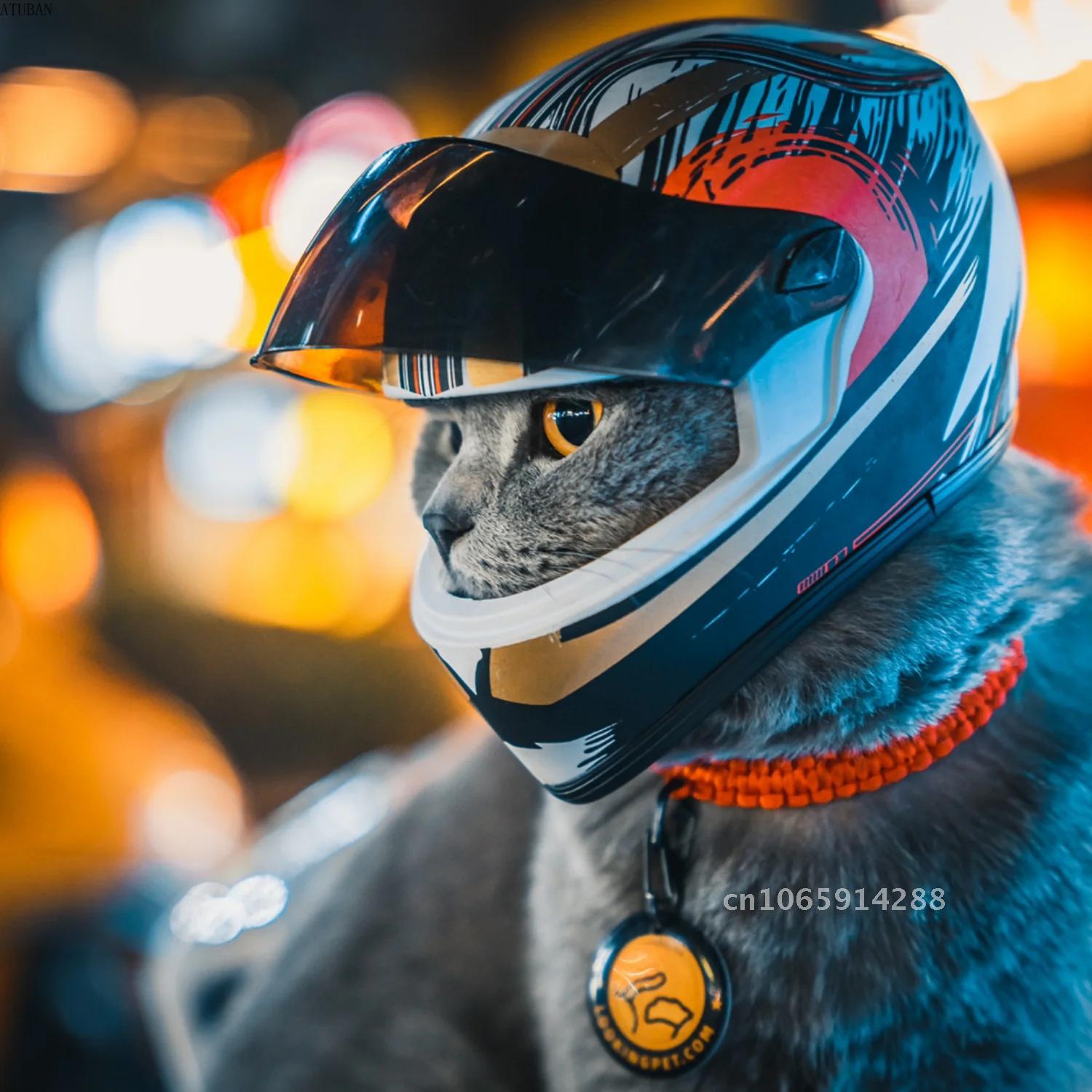 Photo Pet Helmets,Cat Helmet,D - Motorcycle Gear Dogs ulasan dan harga