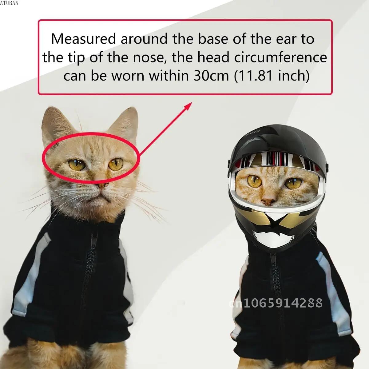 Photo Pet Helmets,Cat Helmet,D - Motorcycle Gear Dogs ulasan dan harga