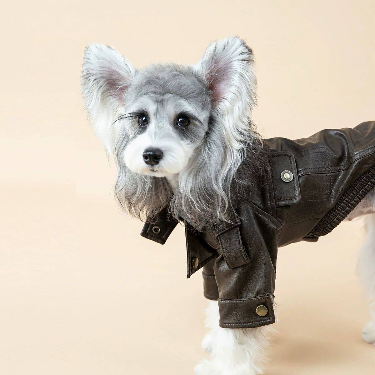 Autumn PU Leather Dog Jacket B - Motorcycle Gear Dogs ulasan dan harga