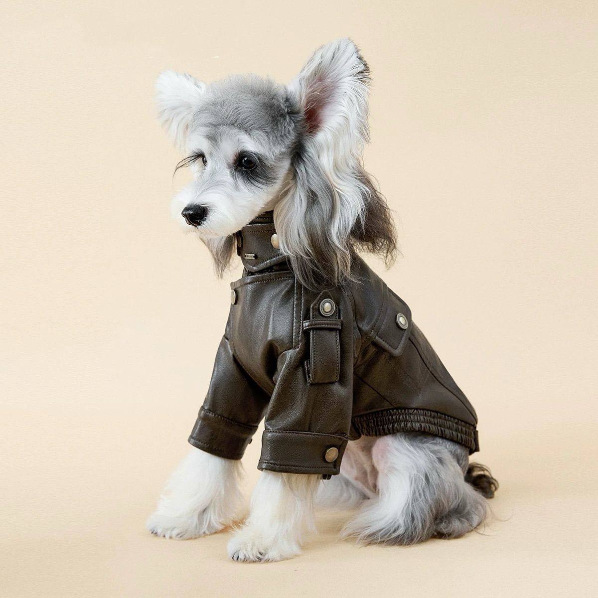 Autumn PU Leather Dog Jacket B - Motorcycle Gear Dogs ulasan dan harga