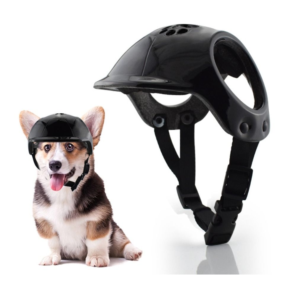 Plastic Pet Dog Helmets With E - Motorcycle Gear Dogs ulasan dan harga