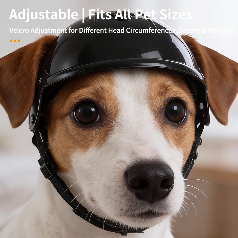 1Pc Cute 3D Paw Pet Helmet for - Motorcycle Gear Dogs ulasan dan harga