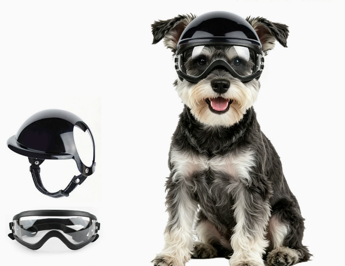 Dog Sunglasses and Pet Helmet  - Motorcycle Gear Dogs ulasan dan harga