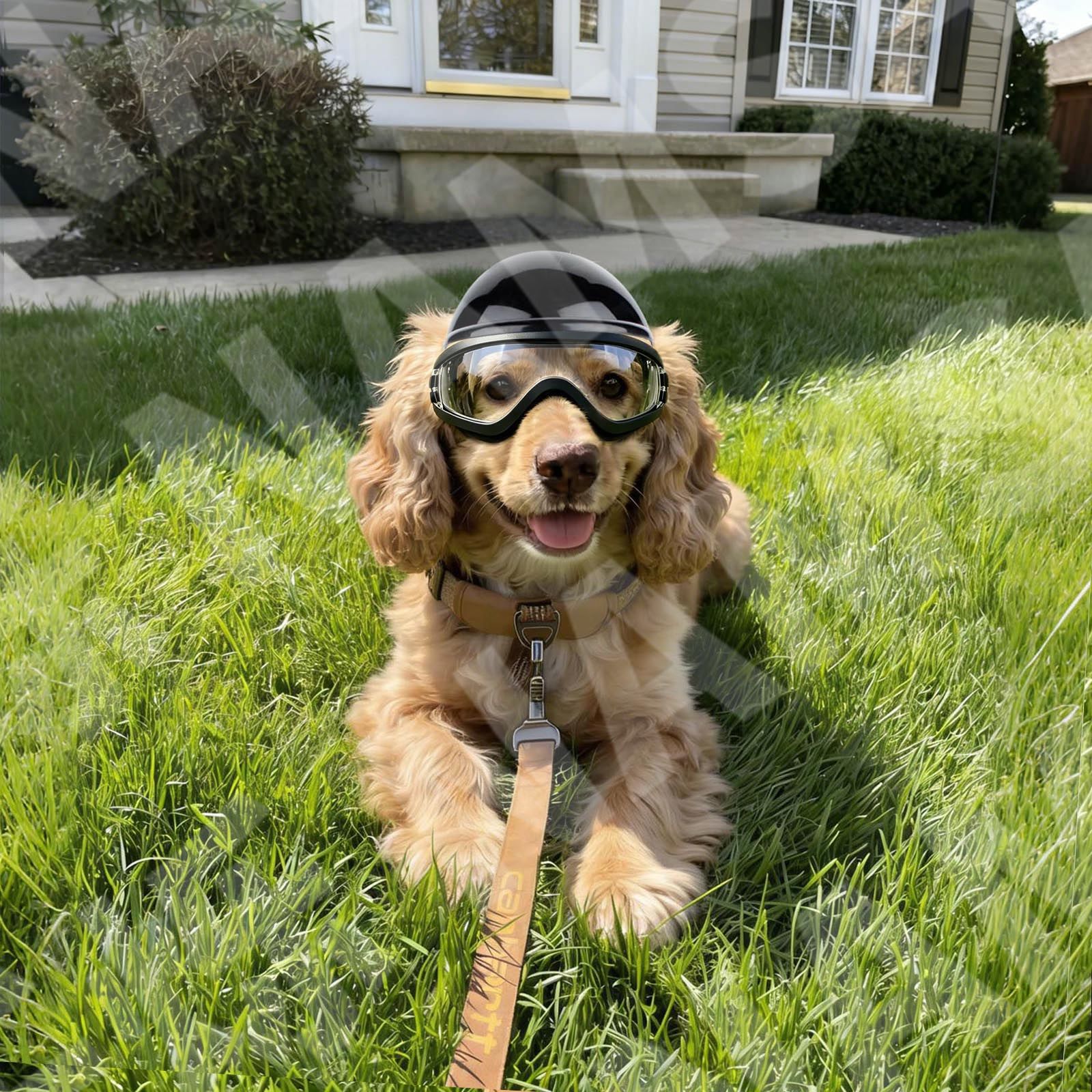 Dog Sunglasses and Pet Helmet  - Motorcycle Gear Dogs ulasan dan harga