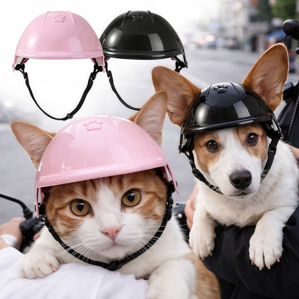 Funny Adjustable Dog Cat Helme - Motorcycle Gear Dogs ulasan dan harga