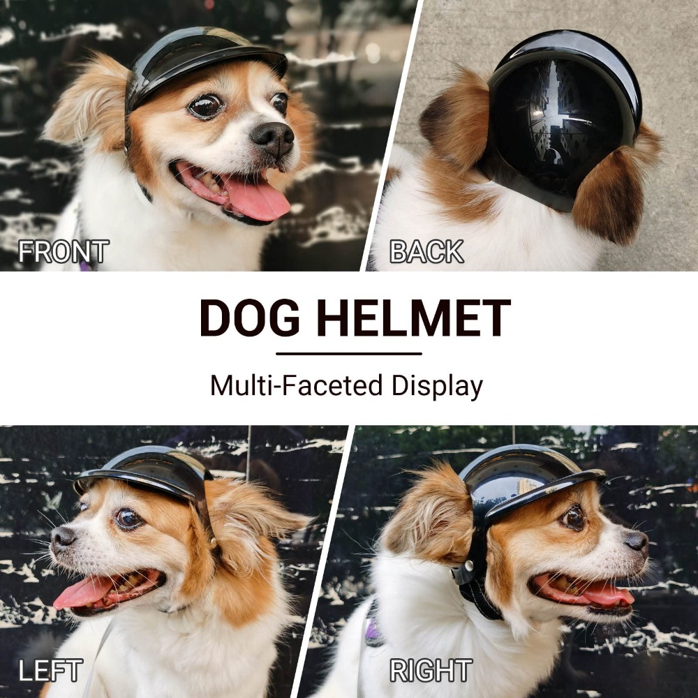 Funny Adjustable Dog Cat Helme - Motorcycle Gear Dogs ulasan dan harga
